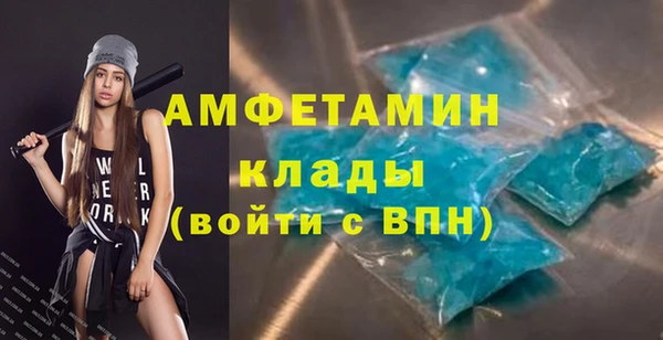 гидра Елизово